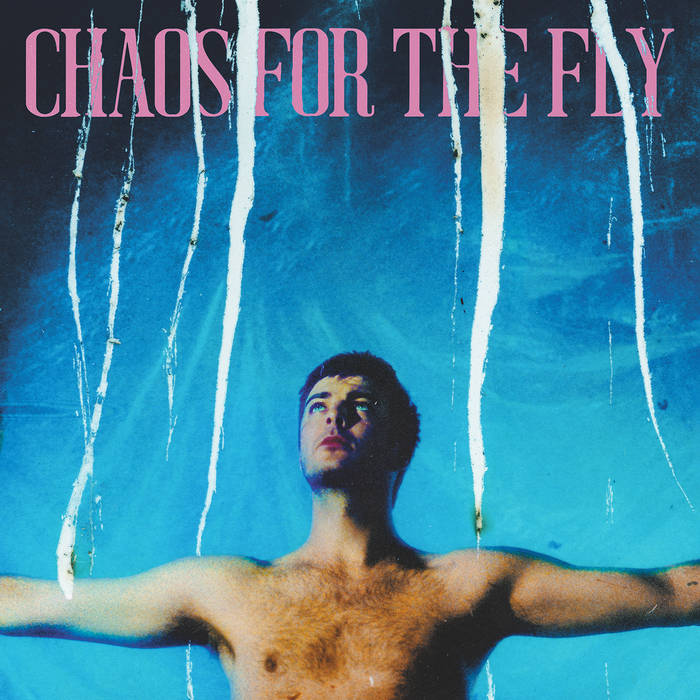 Grian Chatten - Chaos For The Fly (Vinyl)