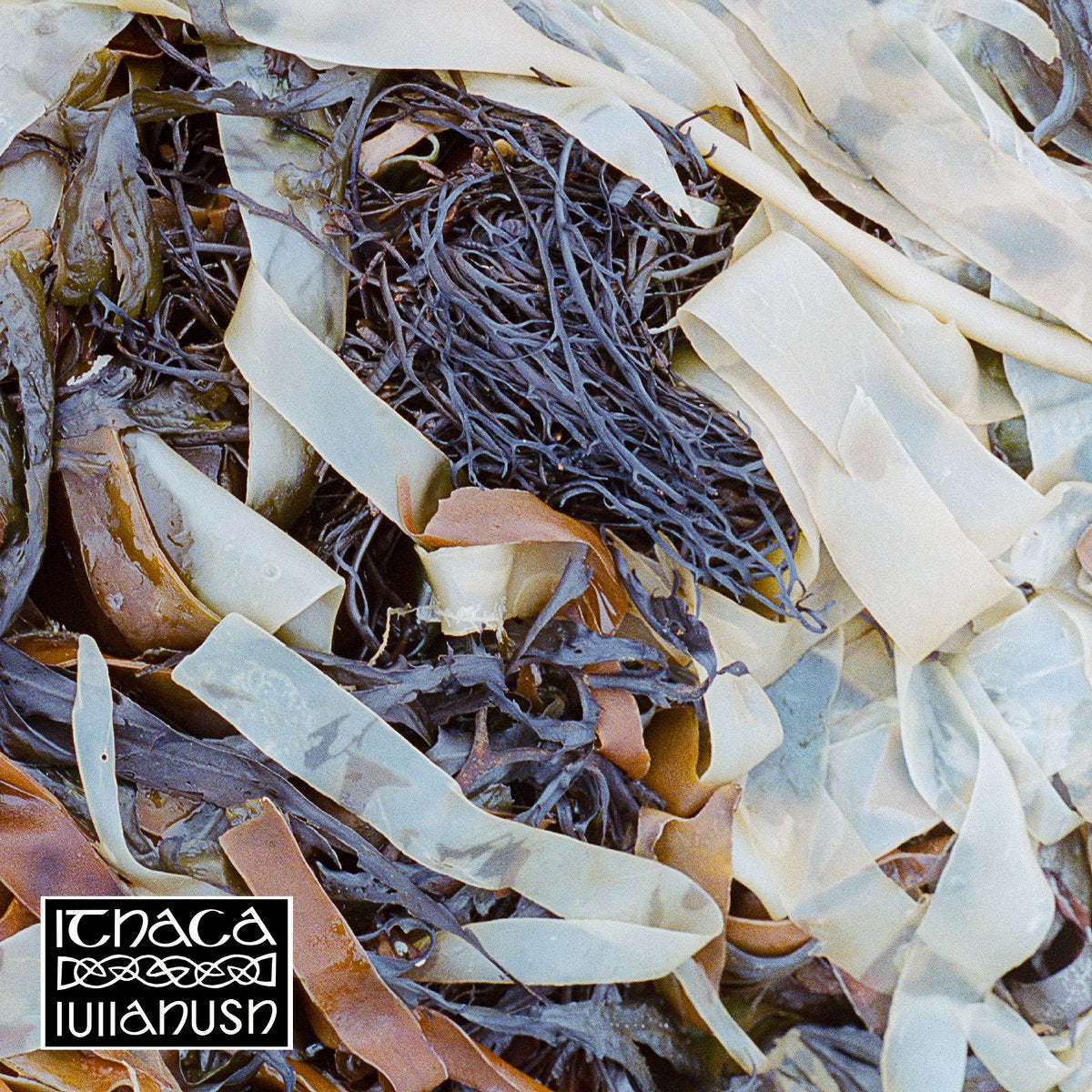 Lullahush - ITHACA (Vinyl)